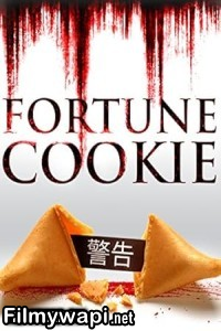 Fortune Cookie (2016) Hollywood Hindi Dubbed poster