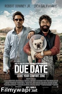 Due Date (2010) Hollywood Hindi Dubbed poster