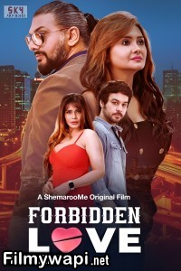 Forbidden Love (2024) Hindi Movie poster