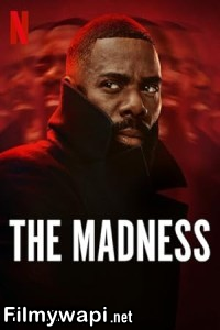 The Madness (2024) Hindi Web Series poster